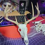 Imagine produs următor