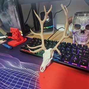 craniu ornamental de cerb