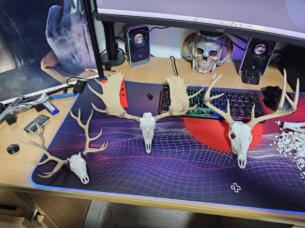 Craniu ornamental de elan