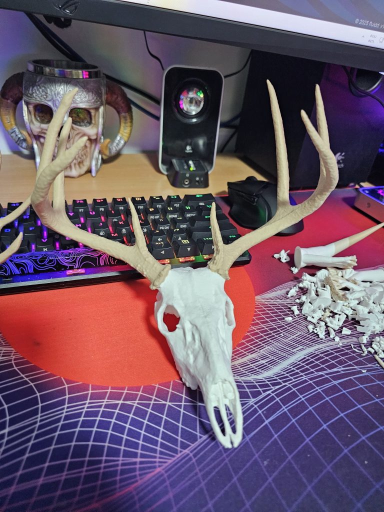 craniu decorativ de cerb