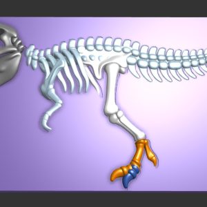 Schelet T-Rex decorativ